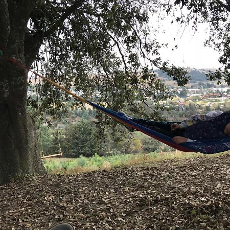 Las Cabanas De Los Abuelos Ciudad Serdan Exteriör bild